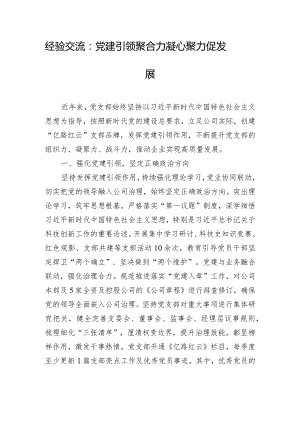 经验交流：党建引领聚合力 凝心聚力促发展.docx