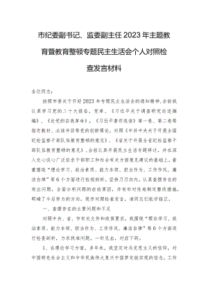 市纪委副书记、监委副主任2023年主题教育暨教育整顿专题民主生活会个人对照检查发言材料.docx