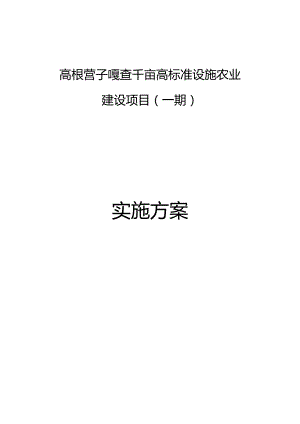 高根营子嘎查千亩高标准设施农业建设项目一期实施方案.docx