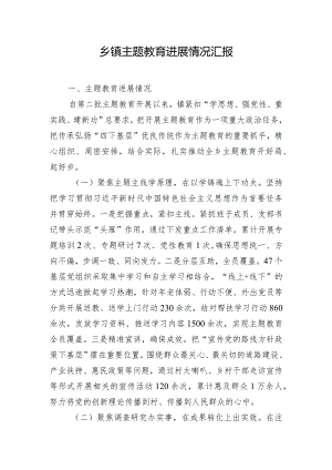 乡镇主题教育进展情况汇报.docx