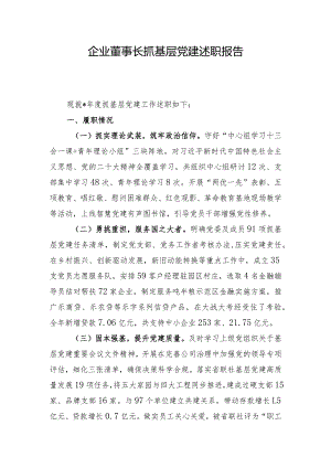 企业董事长抓基层党建述职报告.docx