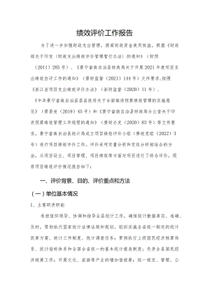绩效评价工作报告.docx