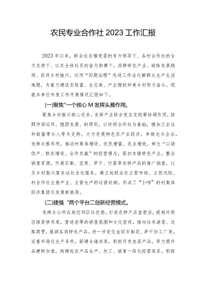 农民专业合作社2023工作汇报.docx