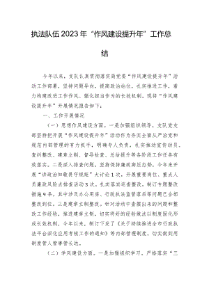 执法队伍2023年“作风建设提升年”工作总结.docx