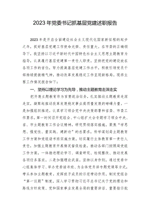 2023年党委书记抓基层党建述职报告.docx