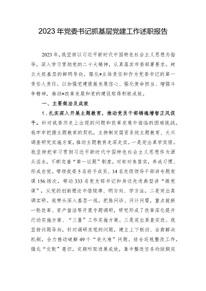 2023年党委书记抓基层党建工作述职报告.docx