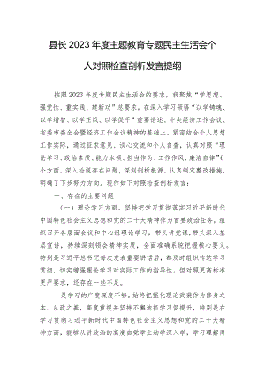 县长2023年度主题教育专题民主生活会个人对照检查剖析发言提纲.docx