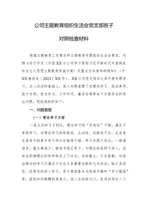 公司主题教育组织生活会党支部班子对照检查材料.docx