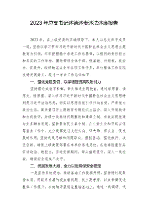 2023年总支书记述德述责述法述廉报告.docx