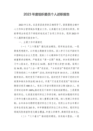 2023年度组织委员个人述职报告.docx