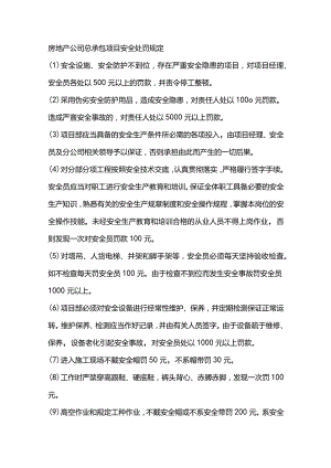 房地产公司总承包项目安全处罚规定.docx