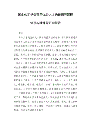 国企公司党委青年优秀人才选拔培养管理体系构建课题研究报告.docx