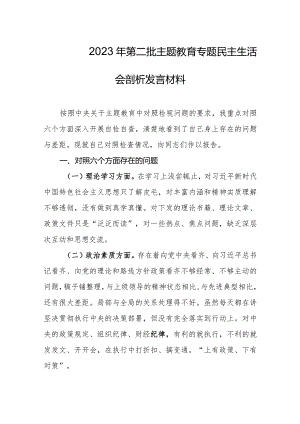 2023年第二批主题教育专题民主生活会剖析发言材料.docx