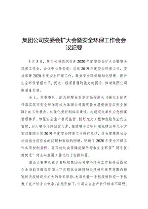 集团公司安委会扩大会暨安全环保工作会会议纪要.docx