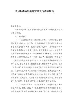 镇2023年抓基层党建工作述职报告.docx
