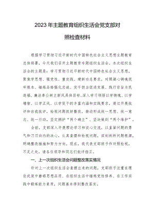 2023年主题教育组织生活会党支部对照检查材料.docx