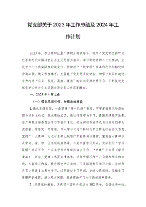 党支部关于2023年工作总结及2024年工作计划.docx
