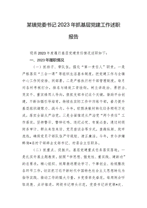 某镇党委书记2023年抓基层党建工作述职报告.docx