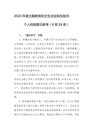 2023年度主题教育民主生活会相互批评、个人检视意见参考（6类24条）.docx