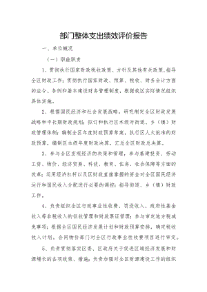 部门整体支出绩效评价报告.docx