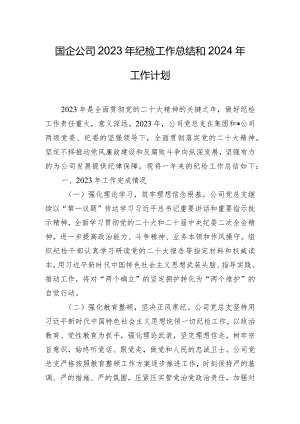 国企公司2023年纪检工作总结和2024年工作计划.docx