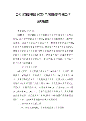 公司党支部书记2023年党建述评考核工作述职报告.docx