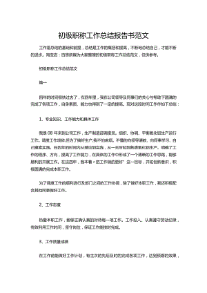 15-初级职称工作总结报告书范文.docx