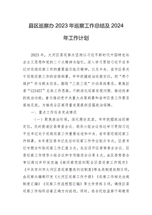 县区巡察办2023年巡察工作总结及2024年工作计划.docx