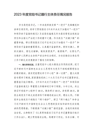 2023年度党组书记履行主体责任情况报告.docx
