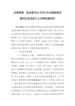 区委常委、政法委书记2023年主题教育专题民主生活会个人对照检查材料.docx