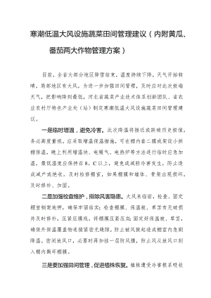寒潮低温大风设施蔬菜田间管理建议（内附黄瓜、番茄两大作物管理方案）.docx