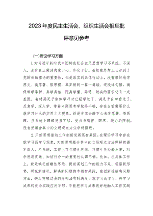 2023年度民主生活会、组织生活会相互批评意见参考.docx