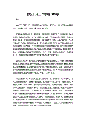 12-初级职称工作总结800字.docx