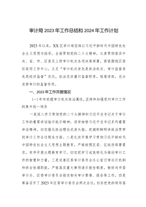 区审计局2023年工作总结和2024年工作计划四篇.docx