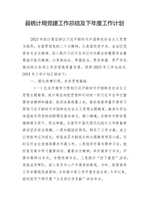 县统计局党建工作总结及下年度工作计划.docx