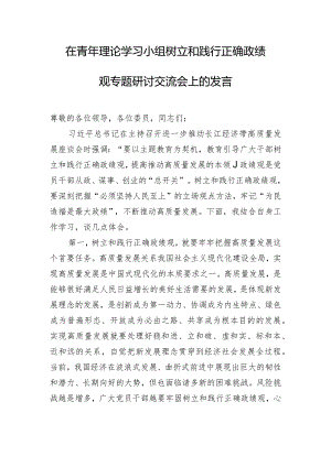 在青年理论学习小组树立和践行正确政绩观专题研讨交流会上的发言.docx