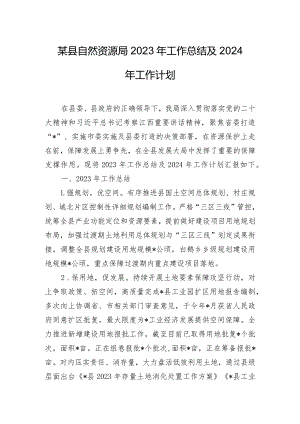 某县自然资源局2023年工作总结及2024年工作计划.docx