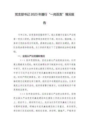党支部书记2023年履行“一岗双责”情况报告.docx