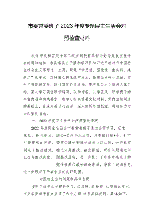 市委常委班子2023年度专题民主生活会对照检查材料.docx