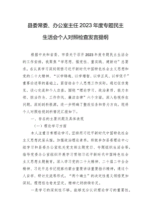 县委常委、办公室主任2023年度专题民主生活会个人对照检查发言提纲.docx