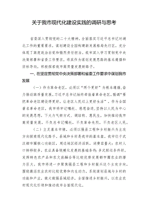 关于我市现代化建设实践的调研与思考.docx
