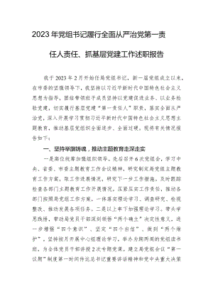 2023年党组书记履行全面从严治党第一责任人责任、抓基层党建工作述职报告.docx