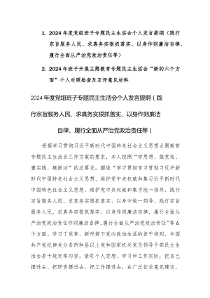 两篇：2024年班子开展主题教育专题民主生活会“新的六个方面”对照检查及互评意见材料（践行宗旨服务人民等）.docx