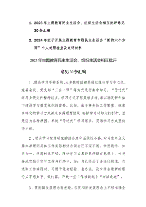 2023年主题教育民主生活会、组织生活会相互批评意见30条汇编+（求真务实、狠抓落实等新六个方面）范文.docx