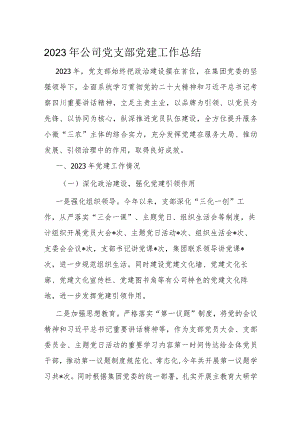 2023年公司党支部党建工作总结.docx
