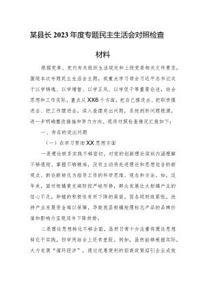 某县长2023年度专题民主生活会对照检查材料.docx