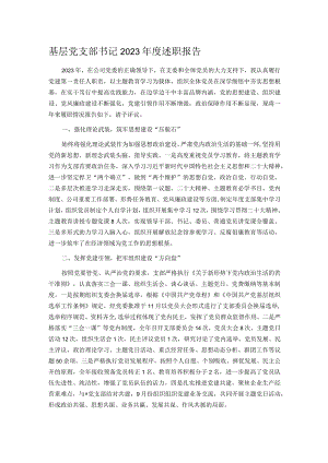 基层党支部书记2023年度述职报告.docx