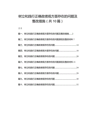 2024树立和践行正确政绩观方面存在的问题及整改措施（10篇）.docx