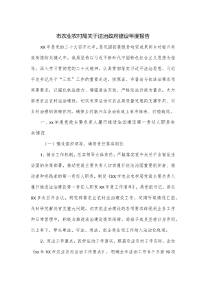 市农业农村局关于法治政府建设年度报告.docx