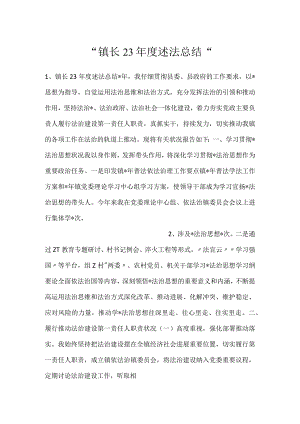 -镇长23年度述法总结-.docx